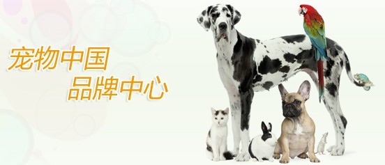 卫仕宠物食品 网络销售策略与消费者选择分析